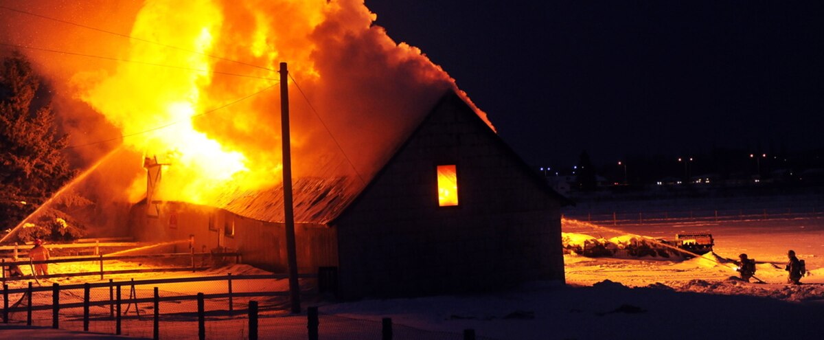 Château Richer: plusieurs chèvres périssent dans un incendie - Le Journal de Québec